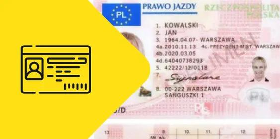 Sprawdzanie statusu prawa jazdy online
